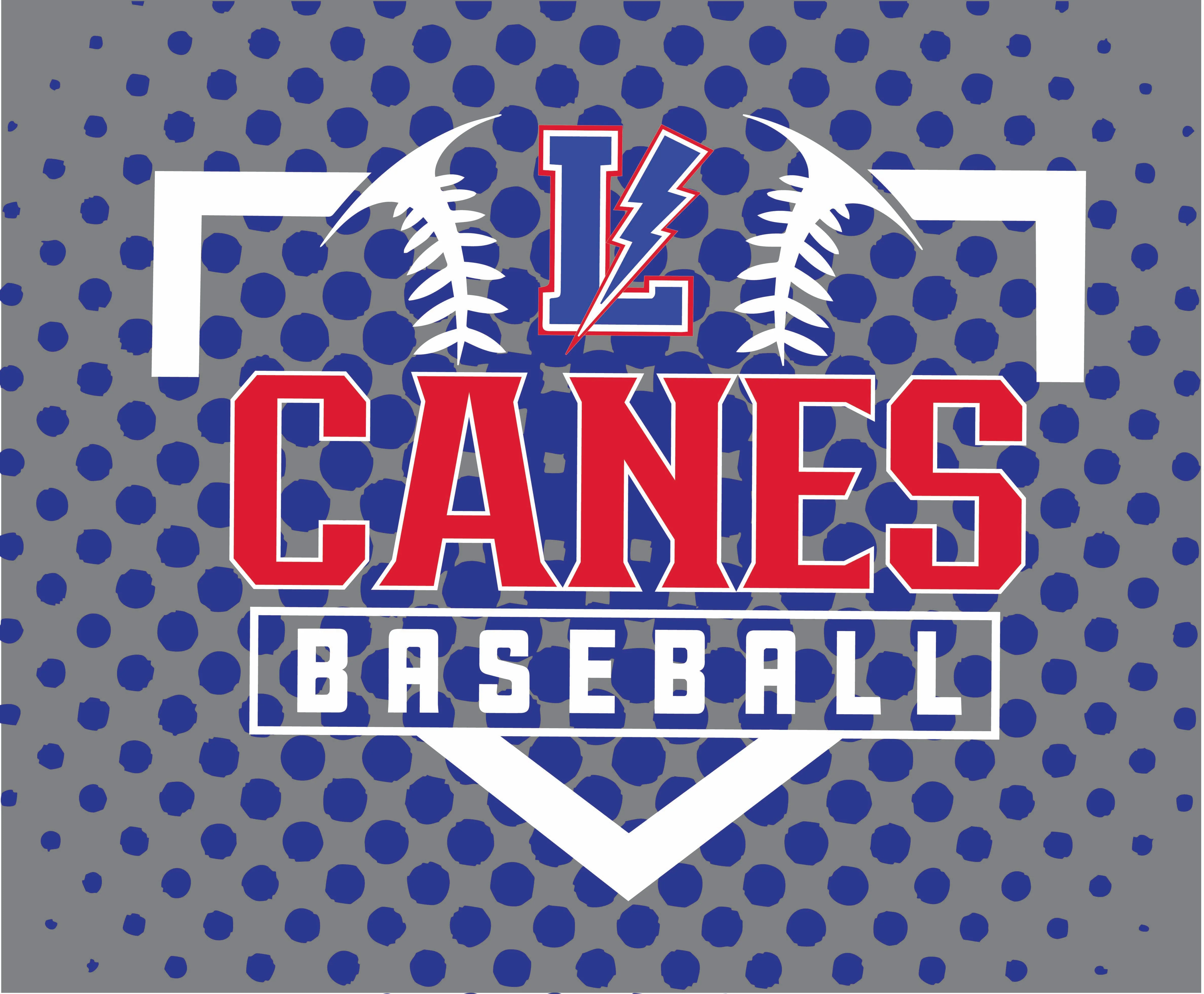 LYB Canes Baseball Fleece Blanket